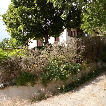Chambre Proche Du Chemin De St-jacques Bed & Breakfast Cahors